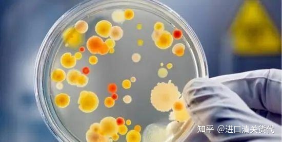 酒属于预包装食品