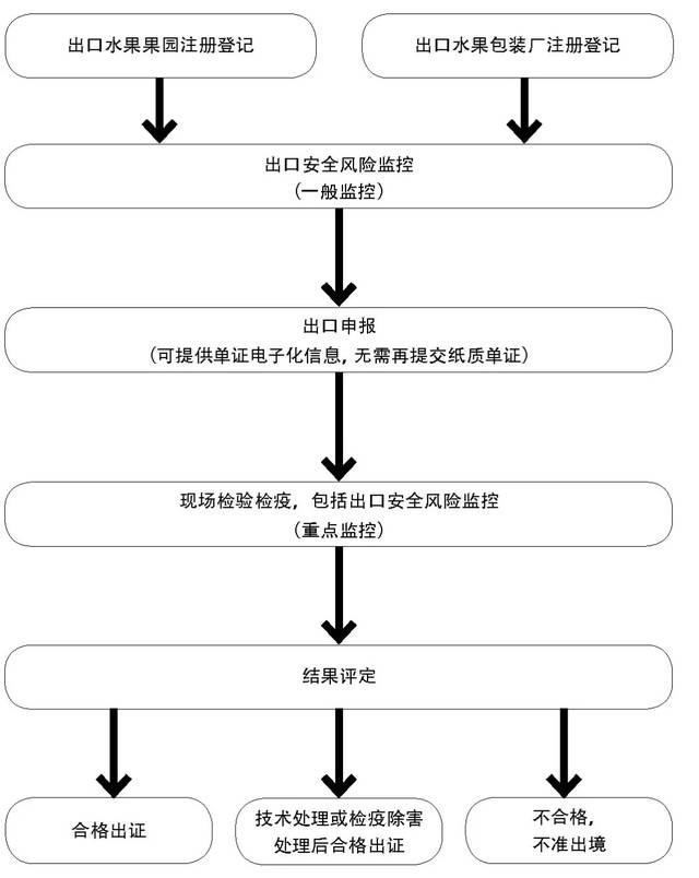 水果的包装流程