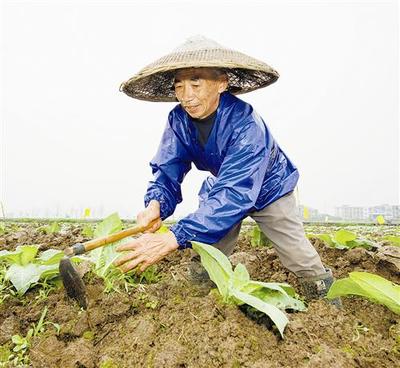 湖南烟叶包装采购