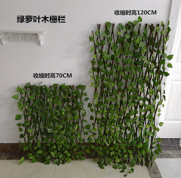 绿萝包装体积多少钱