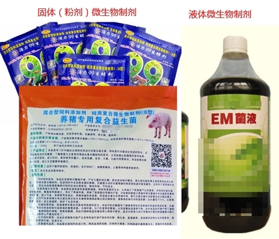 固体制剂的包装形式
