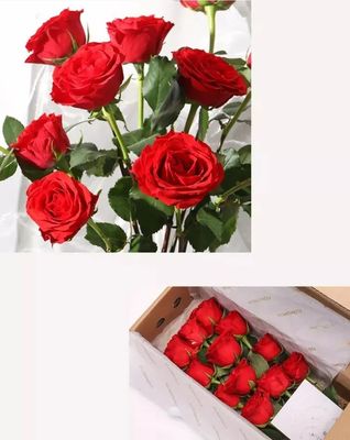 十一支玫瑰花怎么包装