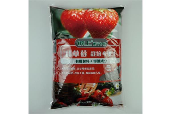 草莓包装材料