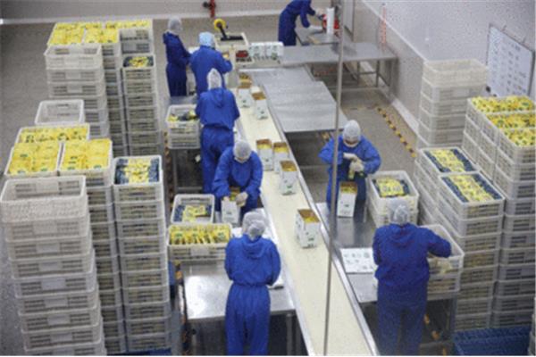 洛阳食品包装加工厂