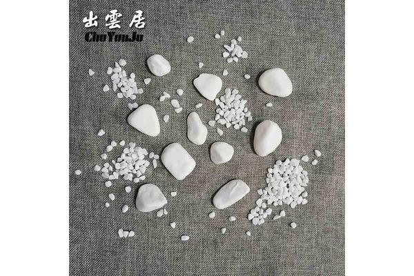 彩色pp花