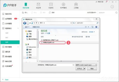 pp助手铃声导入不成功