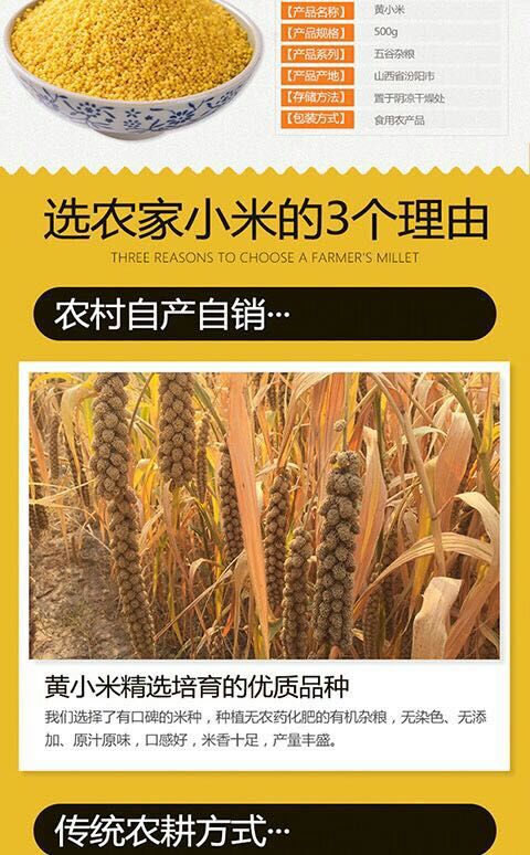 汾州香小米包装