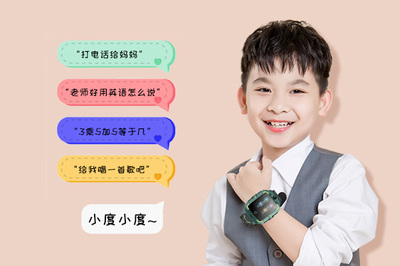 pp手表百度百科