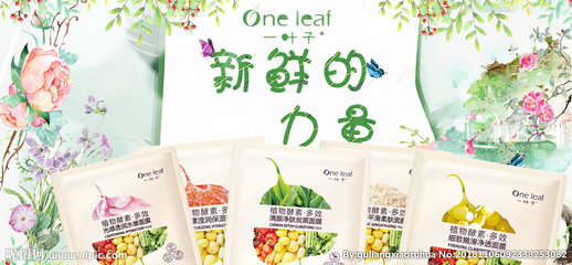 一叶子的包装介绍