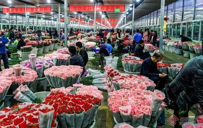鲜花怎么包装运输