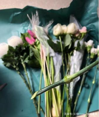 鲜花怎么包装运输