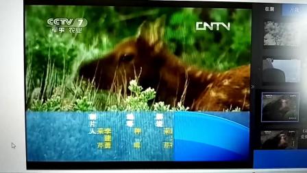 央视动物世界历年包装