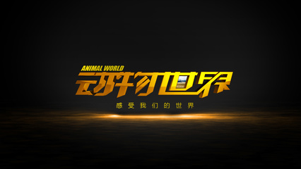 央视动物世界历年包装