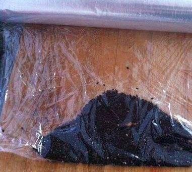 单反相机佳能5d3包装摸