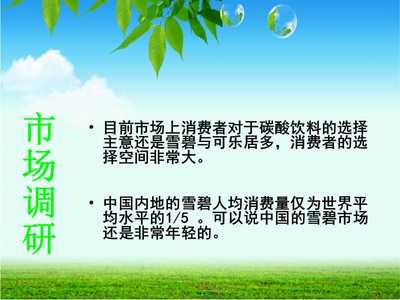 雪碧包装调研报告