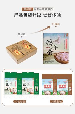 鸽蛋包装30枚