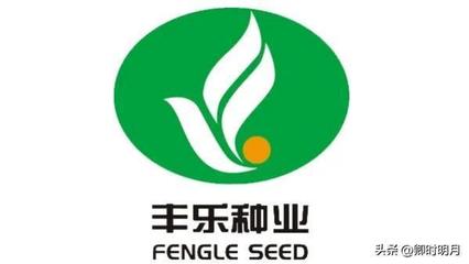 合肥中盐包装