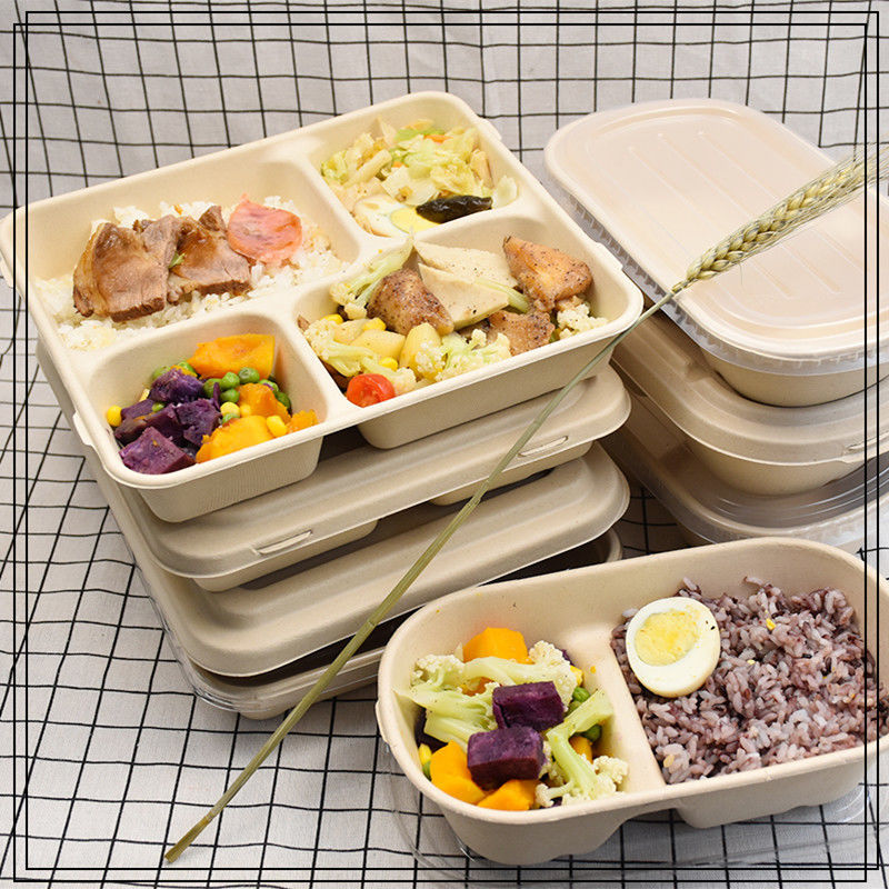 环保盒饭包装盒