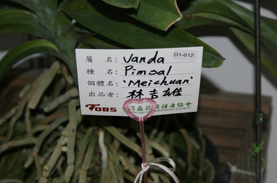中山pp合成纸胶采购