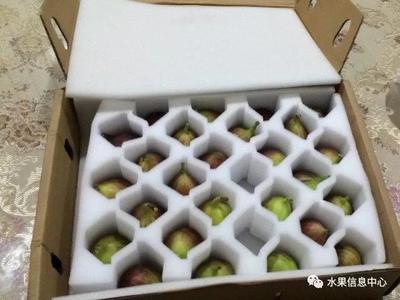 快递水果用什么包装好