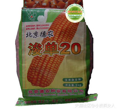 玉米种强盛31包装袋