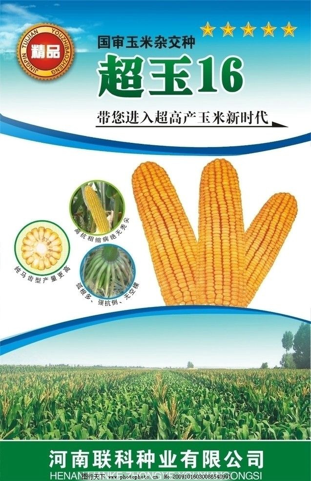 玉米种强盛31包装袋