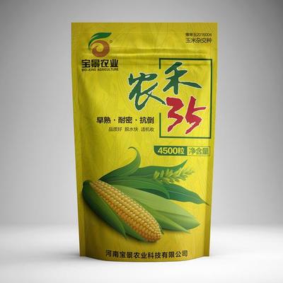 玉米种强盛31包装袋