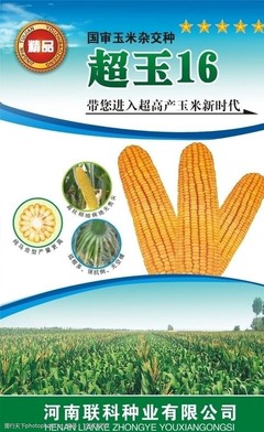 玉米种强盛31包装袋