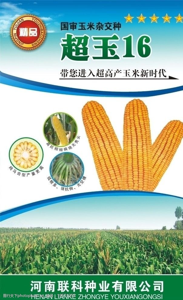 玉米种强盛31包装袋