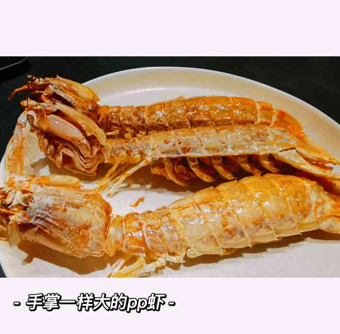 PP虾描述
