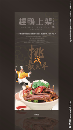 鸭广告设计
