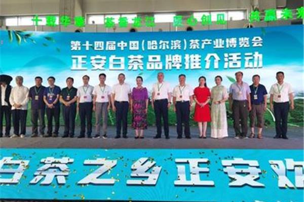 遵义丽彩广告公司