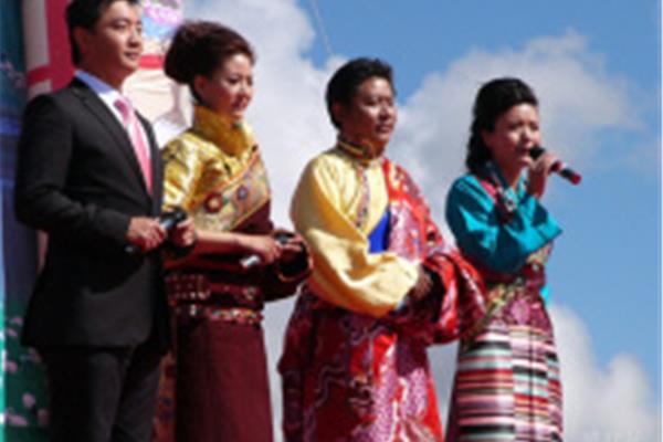曲麻莱广告公司