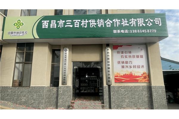 西昌河西广告公司