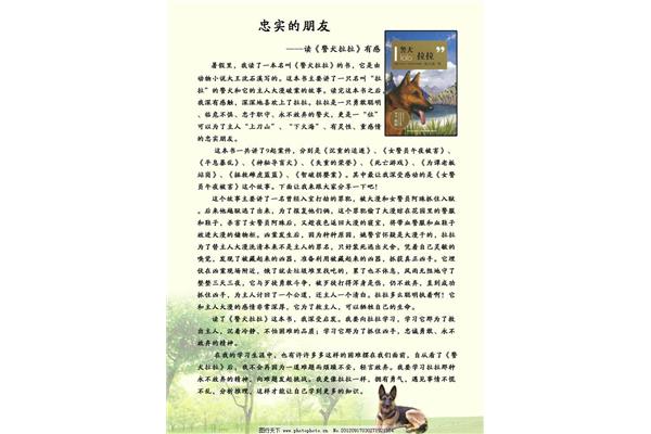保护环境广告设计作文