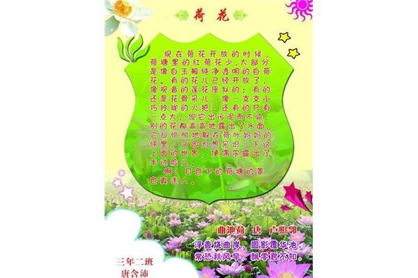 保护环境广告设计作文